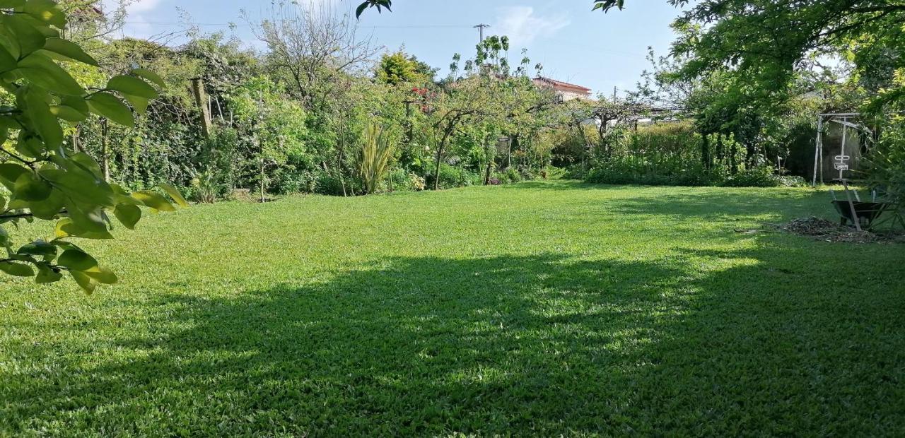 Casa Landim别墅 外观 照片
